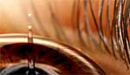 Eyedropped